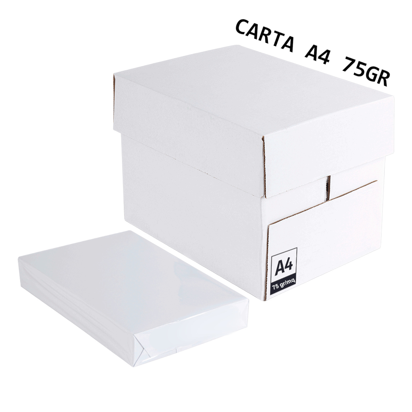 123456 Foto prodotto